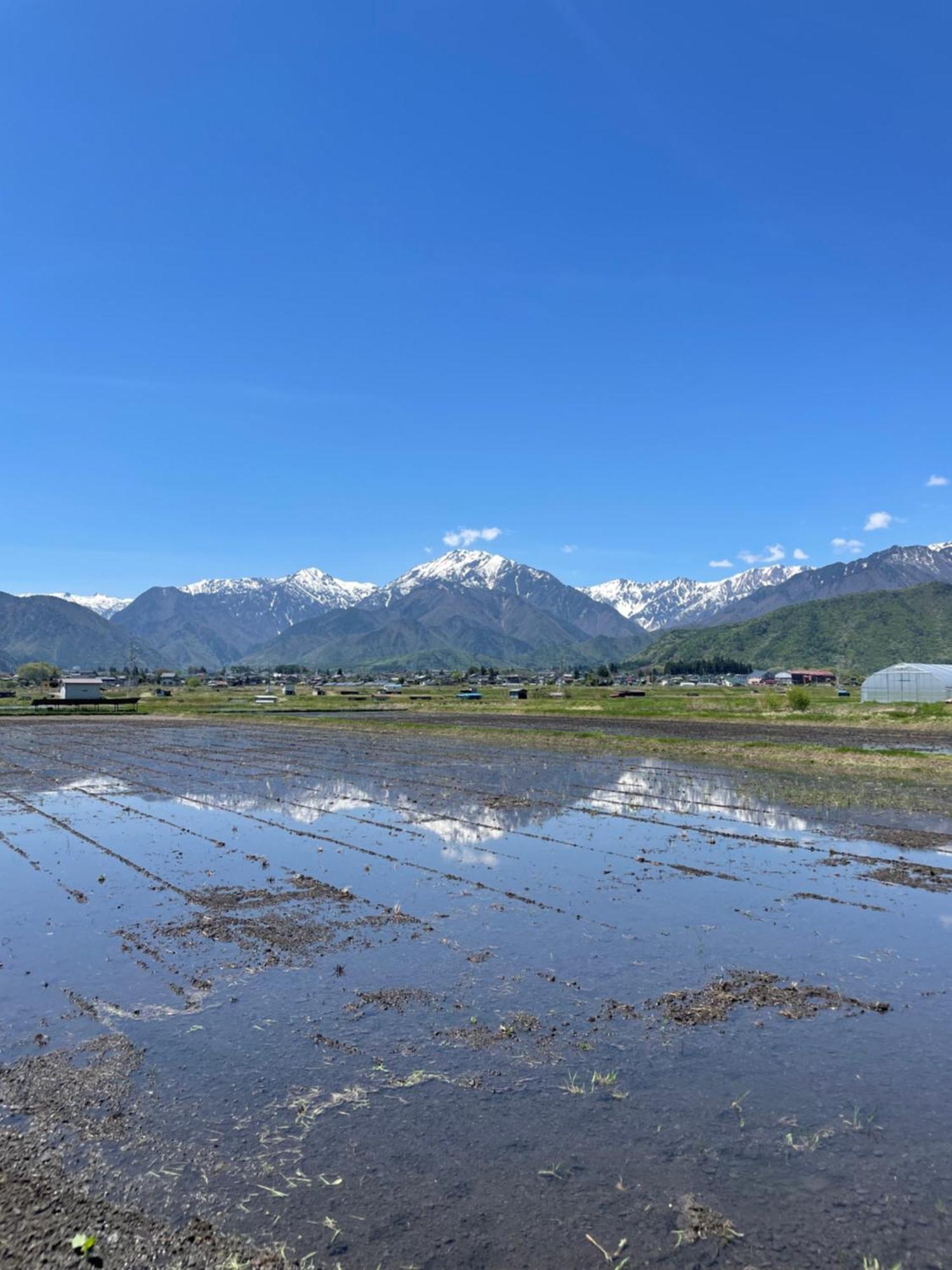 北アルプス麓のゲストハウス林屋 Ōmachi Esterno foto